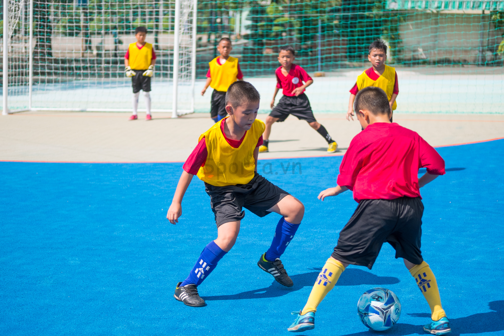 Hình ảnh Sân Futsal Ngoài Trời Quận 6 5