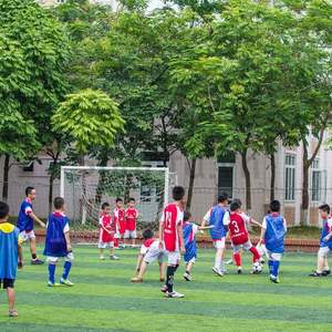 Sân bóng đá cỏ nhân tạo Wembley Nam Trung Yên