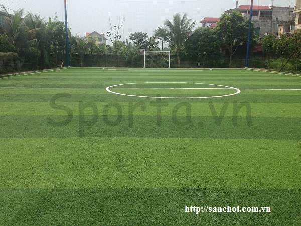 Hình ảnh sân Sân bóng đá cỏ nhân tạo Phương Nam – Hà Nội
