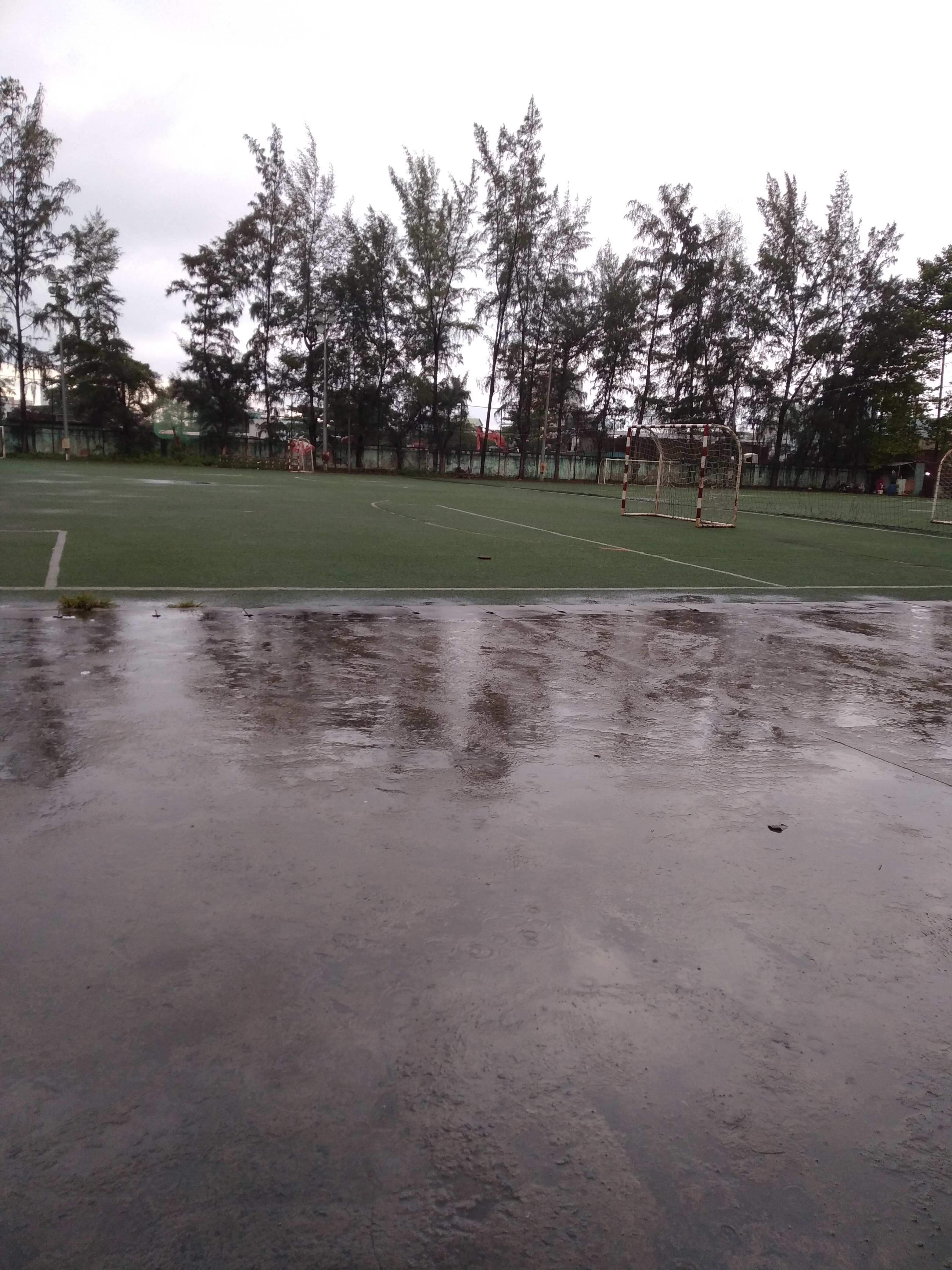 Hình ảnh sân Sân cỏ nhân tạo Phước Long 