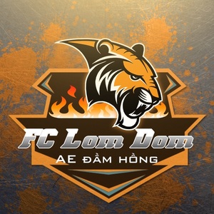 FC Lom Dom